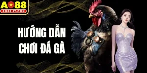 Hướng Dẫn Chơi Đá Gà