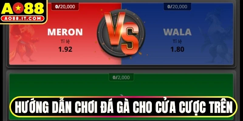 Hướng dẫn chơi đá gà cho cửa cược trên