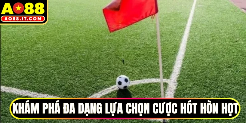 Khám phá đa dạng lựa chọn cược hót hòn họt