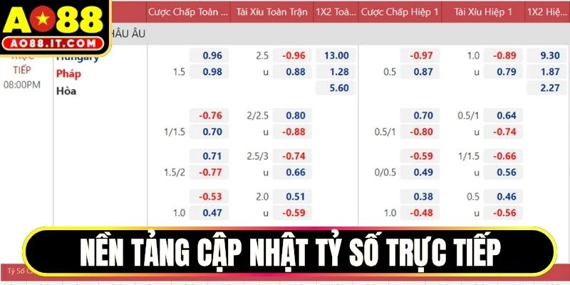 Nền tảng cá cược thể thao cập nhật tỷ số trực tiếp